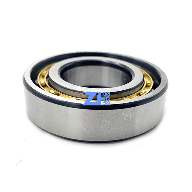 RN206ECM Silindirik Makaralı Rulman 30*55.5*16mm dayanıklı tek sıralı Silindirik makaralı rulmanlar