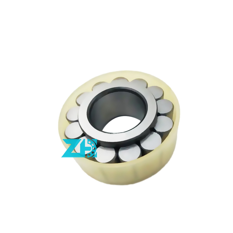 RSL18 2207 Silindrik Rulo rulman boyutu35X63.97X23 mm Yüksek hassasiyet ve yük kapasitesi
