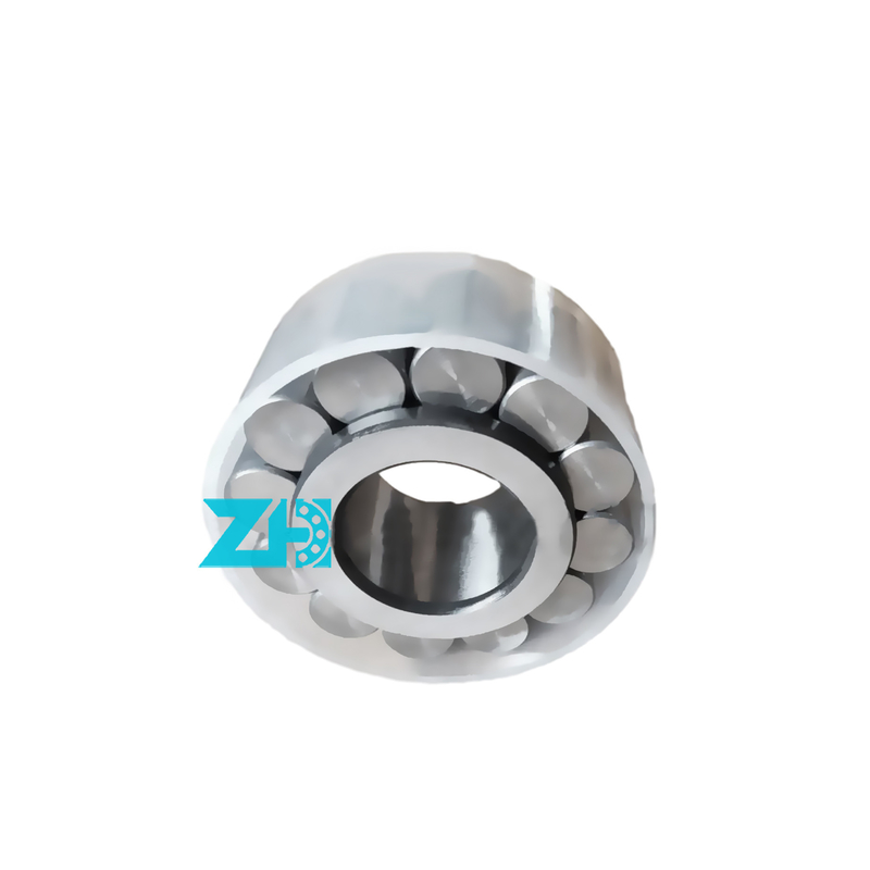 F-229073 Silindrik Rol rulman yatakları, 30X68.15X31.5mm boyutu, Çift sıra, Yüksek hassasiyet ve yük kapasitesi