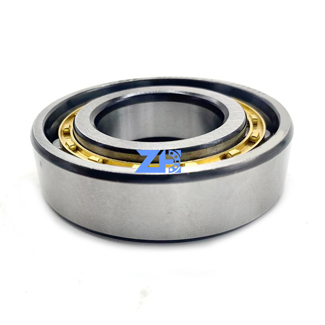 N206 N206E N206M N206EM N206ECM C3 30*62*16mm Bakır Kafes Silindrik Rol rulmanları