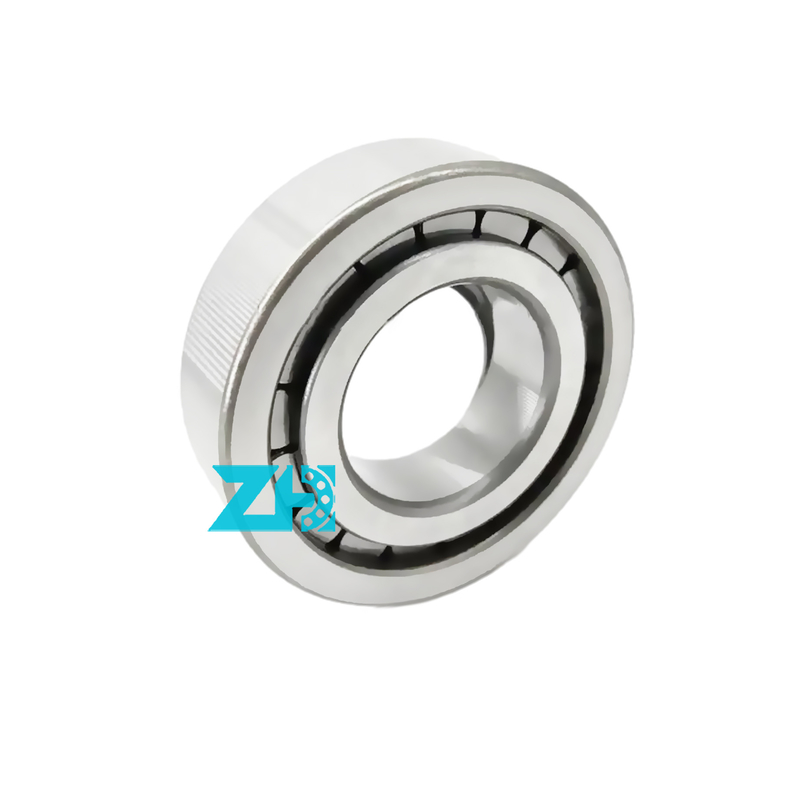 Hidrolik pompa rulmanı F-203740.nup 25x54x21mm tek sıra silindirli rulo rulmanı F-203740