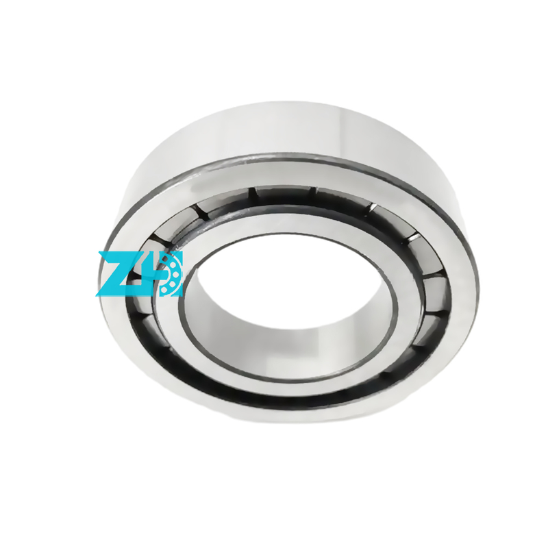 Hidrolik pompa rulmanı F-203740.nup 25x54x21mm tek sıra silindirli rulo rulmanı F-203740
